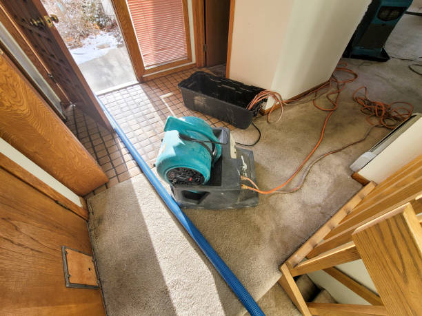 Trusted Water Damage Restoration in Choccolocco, AL | Fast, Reliable, and Ready to Assist You